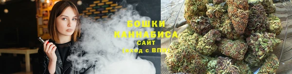 спайс Алзамай