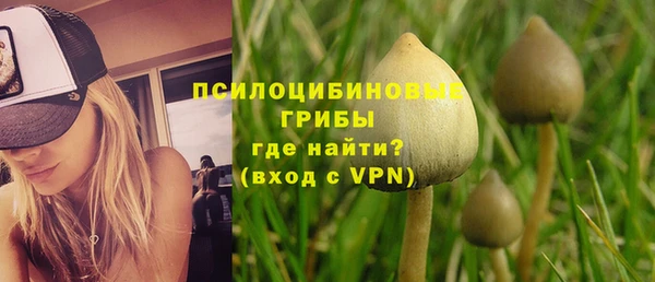 спайс Алзамай